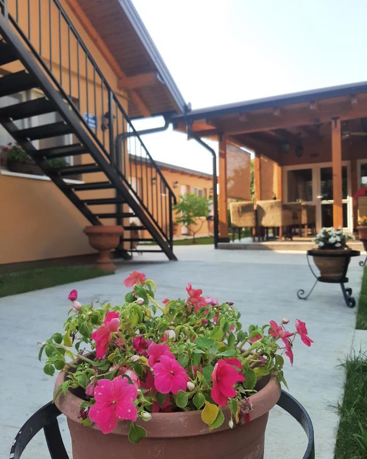 Villa Klara Novi Sad Dış mekan fotoğraf