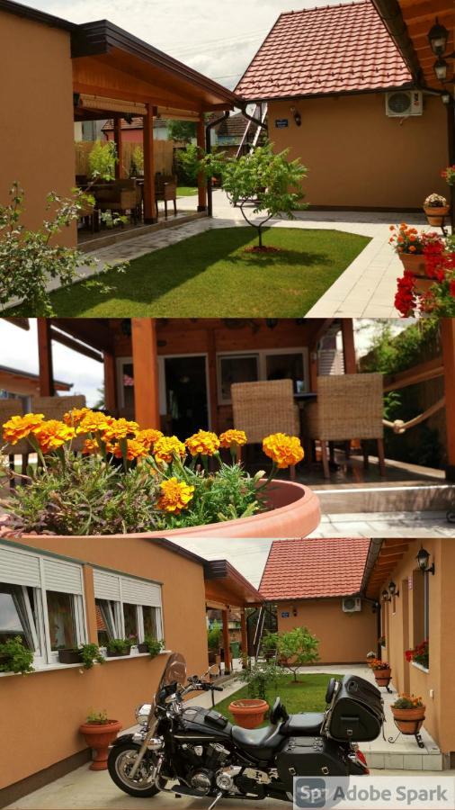 Villa Klara Novi Sad Dış mekan fotoğraf
