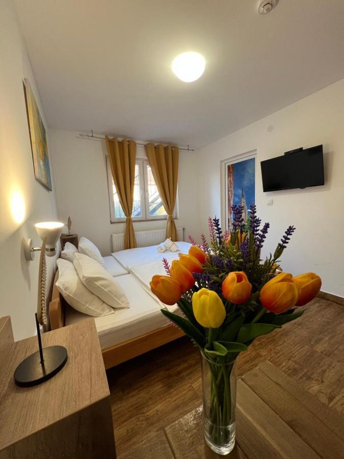 Villa Klara Novi Sad Dış mekan fotoğraf