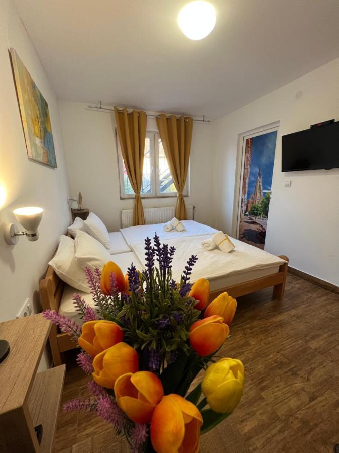 Villa Klara Novi Sad Dış mekan fotoğraf